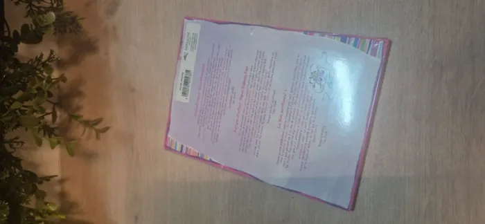 Carnet de feuilles diddl - photo numéro 4