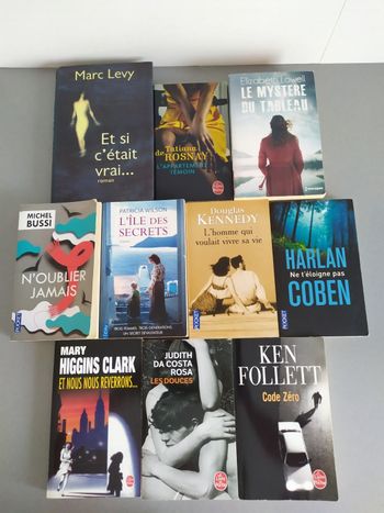 Lot de 10 romans policiers/thrillers (Lot 2)