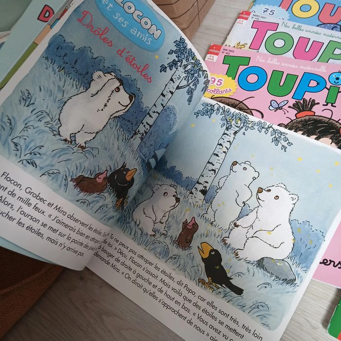 Lot magazines toupie 2022 / 2023 - photo numéro 4