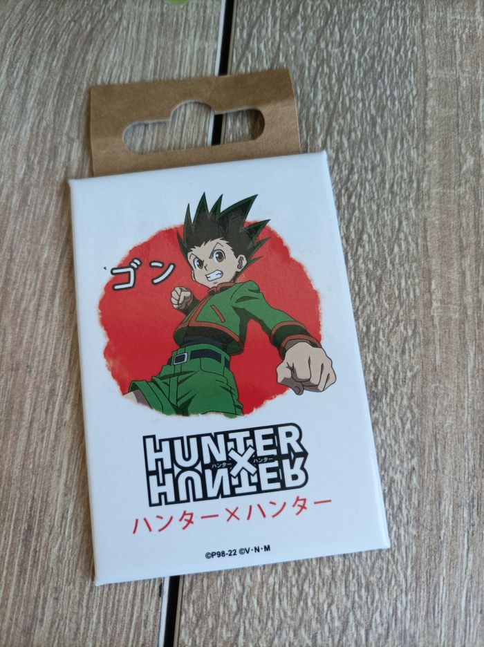 Magnet Gon hunter x hunter
