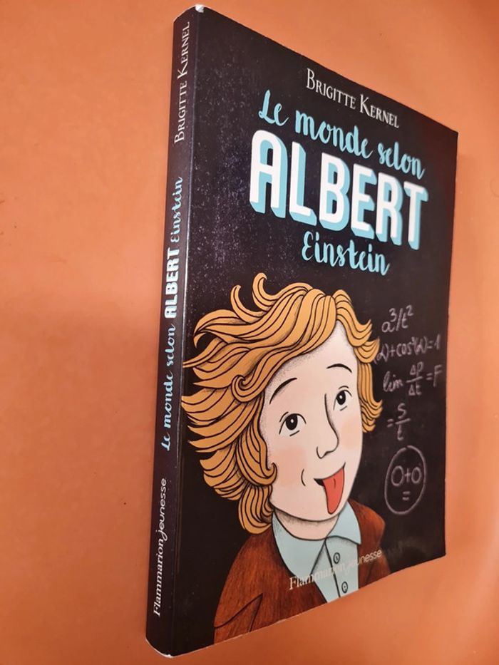 Le monde selon Albert Einstein - Brigitte kernel - photo numéro 4