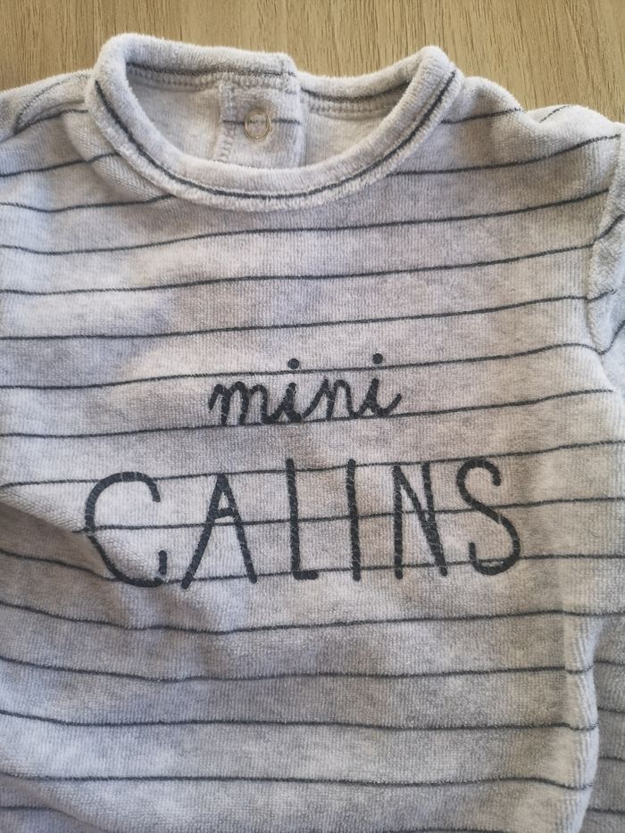 Grenouillère grise - photo numéro 2