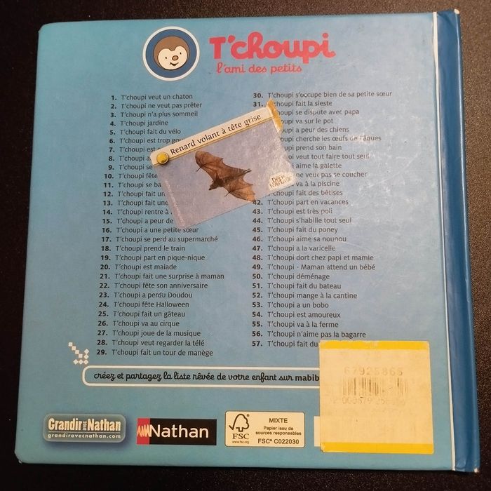 Livre enfant Nathan T'choupi fait du bateau - photo numéro 2