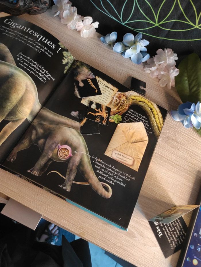 Incroyables dinosaures – L'incroyable encyclopédie – Larousse - photo numéro 10