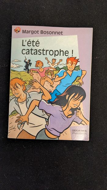 Livre l'été catastrophe