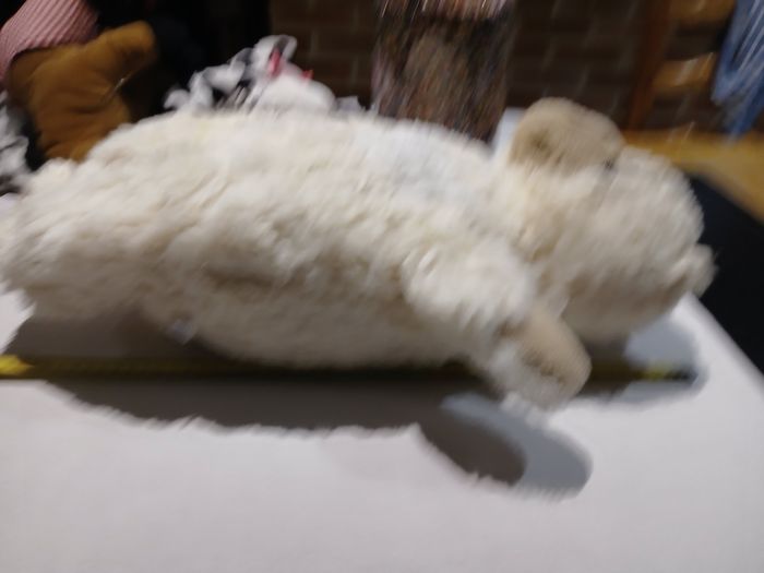 Nounours - photo numéro 2