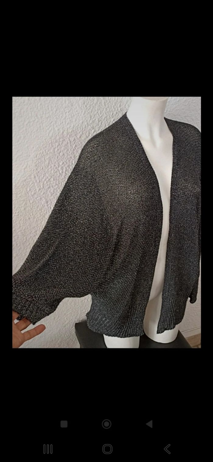 Belle Veste en lainage fin - photo numéro 3