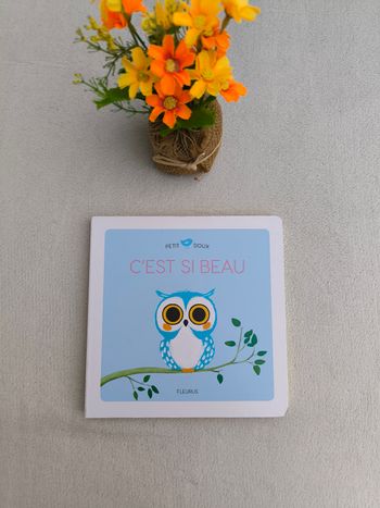 Livre C'est si beau Fleurus