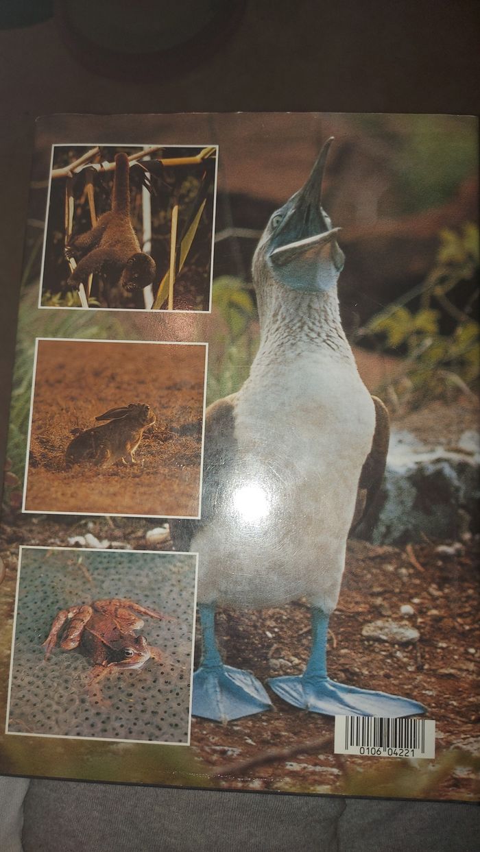 L'animal face à la vie - photo numéro 2