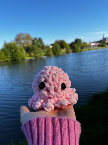 Le Moyen Poulpe Paulito 🐙