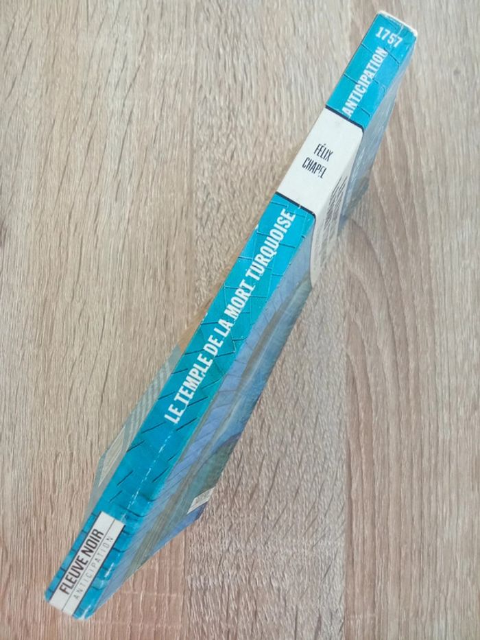 Félix Chapel 🪅 Le temple de la mort turquoise Tome 2 - photo numéro 3