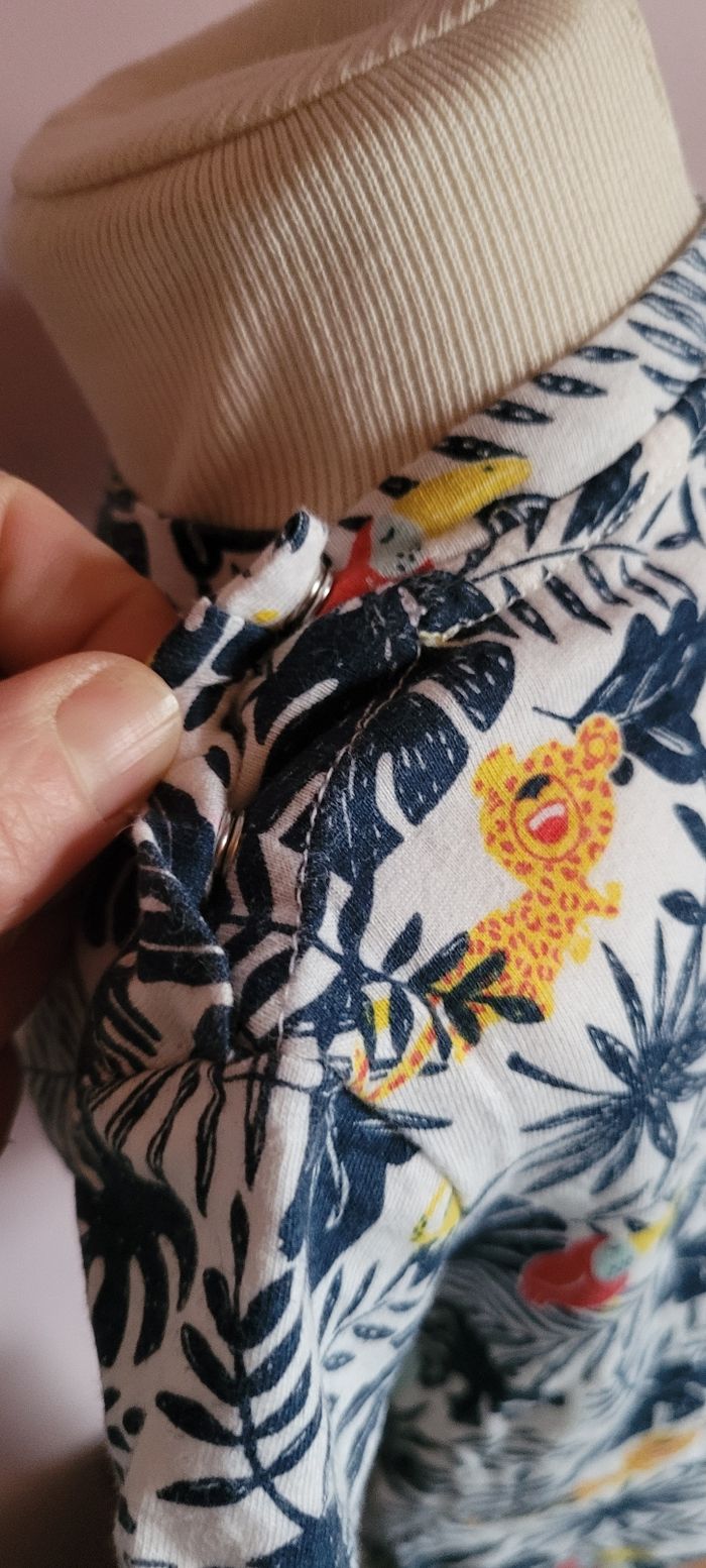 Tee-shirt savane - photo numéro 4