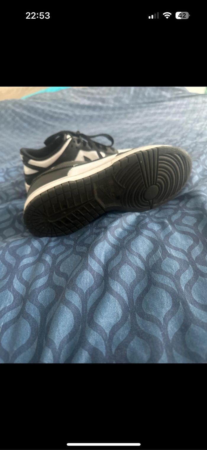 Dunck low - photo numéro 4