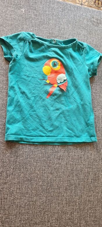 Tee-shirt perroquet