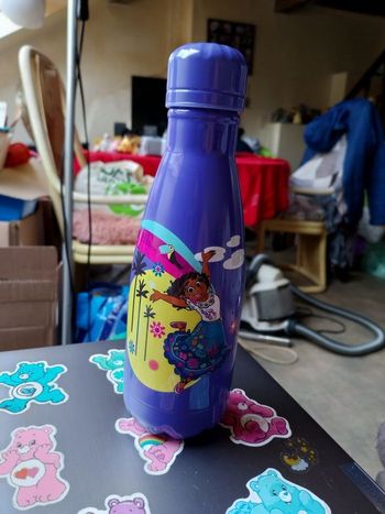 Gourde disney store encanto