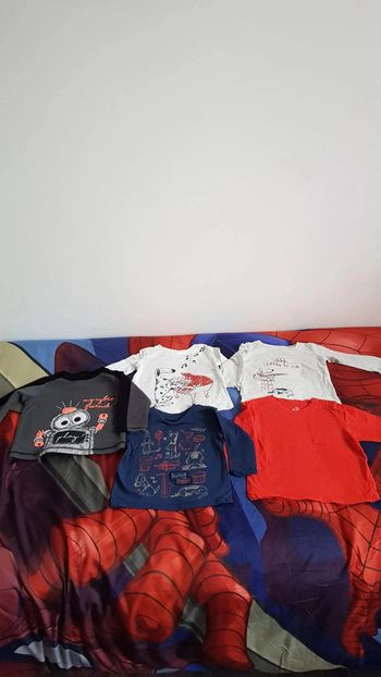 Lot de 5 tee-shirts garçon manches longues taille 12 mois