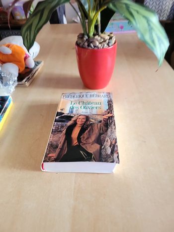 Le château des oliviers