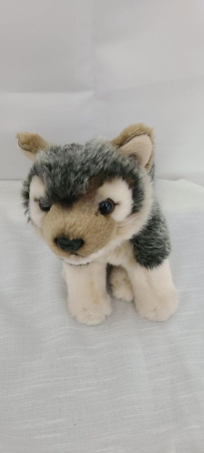 Loup assis , loup en peluche