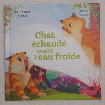 Livre Mc Do Chat échaudé craint l'eau froide