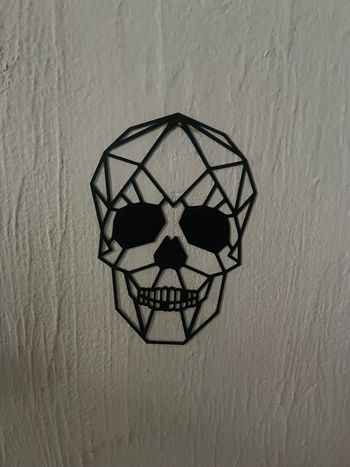 Art Mural - Tete de Mort Poly