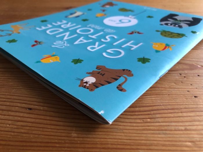 Livre La grande histoire de mes 6 ans - photo numéro 8