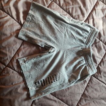 Short puma