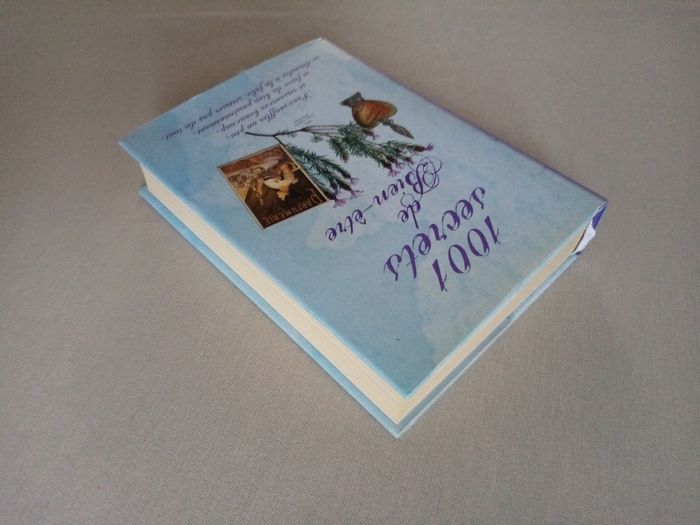 Livre : secrets de Bien-être - photo numéro 7