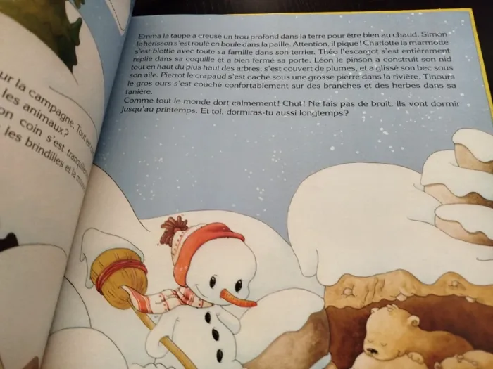 Livre illustré avec des histoires pour enfants - photo numéro 3