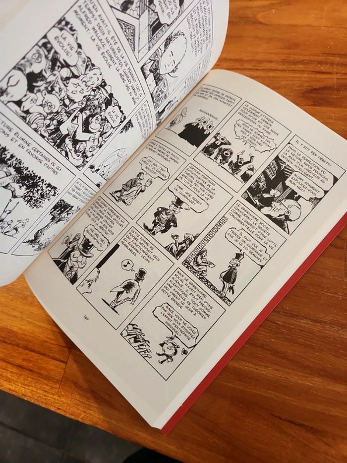 Bande dessinée : Petite histoire du monde moderne - photo numéro 6