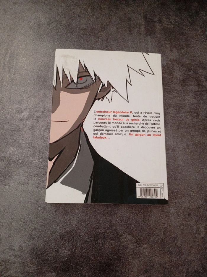 Manga the boxer tome 1 - photo numéro 2