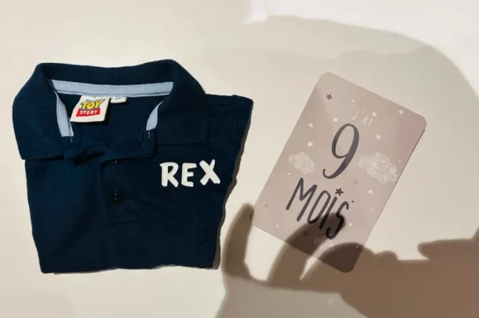 T shirt toy strory - photo numéro 2