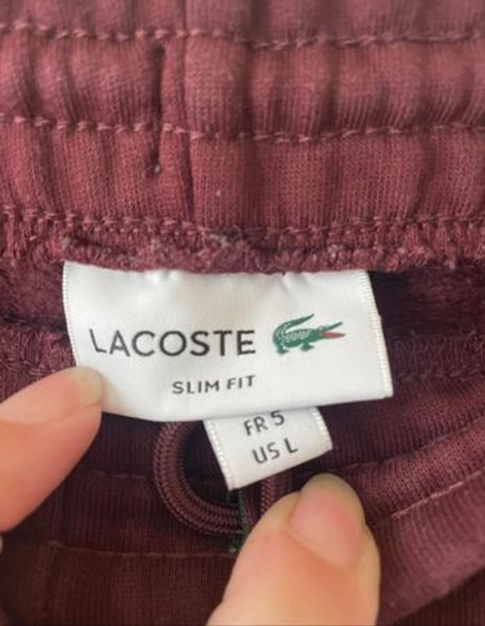 Pantalon jogging slim fit lacoste - taille M - photo numéro 5