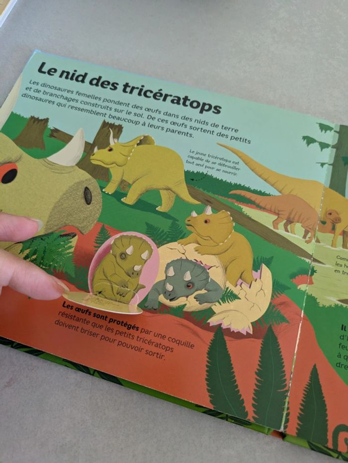 Livre animé la vie des Dinosaures - photo numéro 4