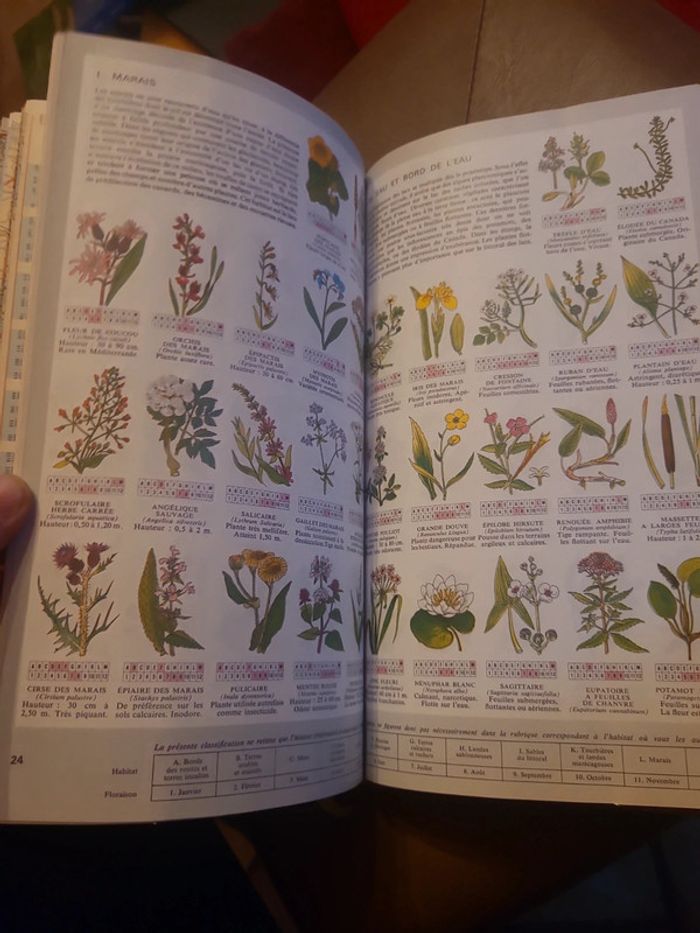 Guide de la route d'europe - photo numéro 9