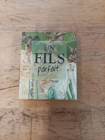 Mini livre Un fils parfait
