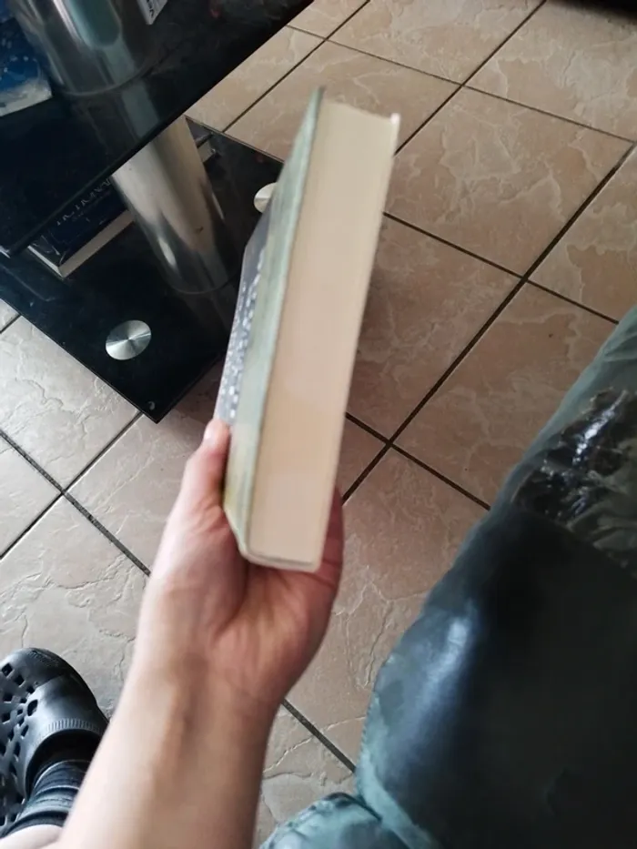 La terre de la discorde de Maurice Chalayer - photo numéro 5