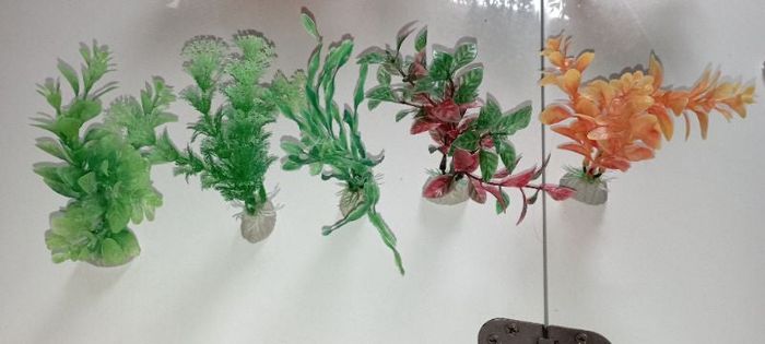 Déco aquarium