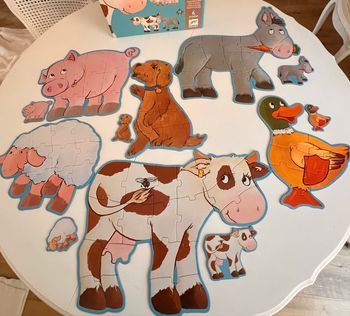 6 puzzles évolutive Djeco Pâquerettes  et ses amis