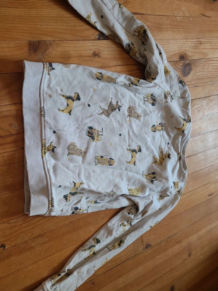 Pull motif chien - photo numéro 7