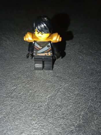 Figurine lego