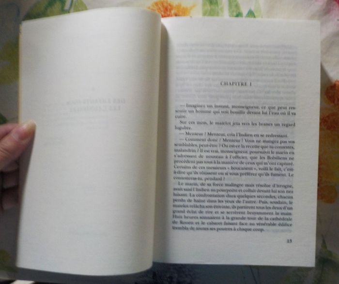 ROUGE BRESIL de Jean-Christophe RUFIN Ed. Gallimard - photo numéro 7