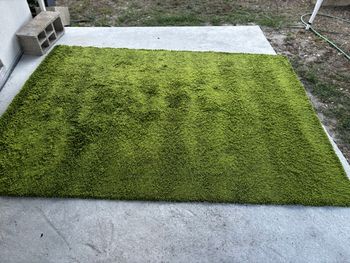 Tapis vert