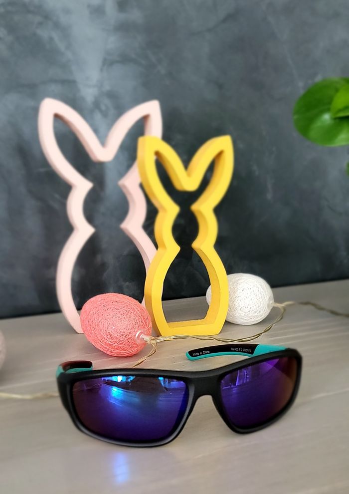 Lunettes de soleil