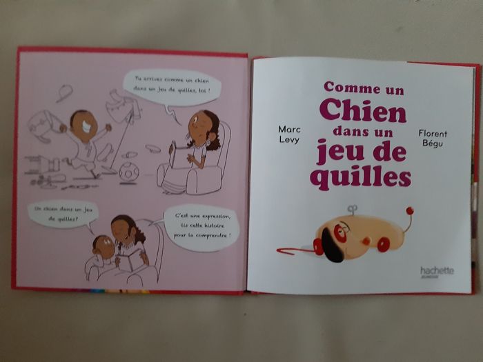 livre enfant - Comme un chien dans un jeu de quilles - Marc Levy - photo numéro 3