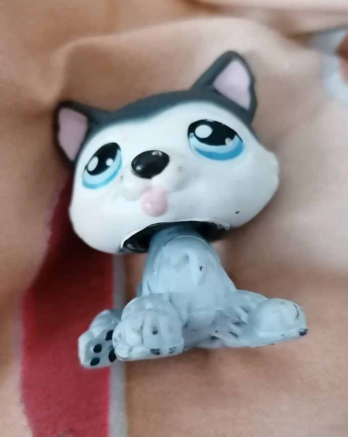 Pet shop