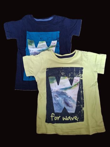 Lot 2 t-shirts manches courtes In Extenso 24 mois