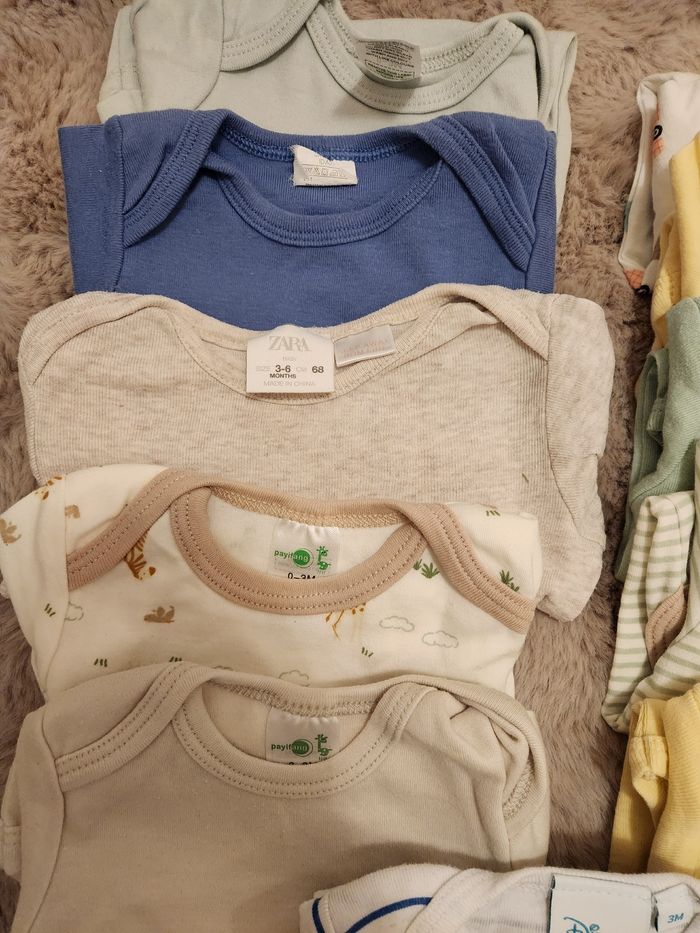 Lot body - photo numéro 4