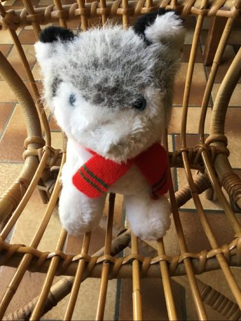 peluche 