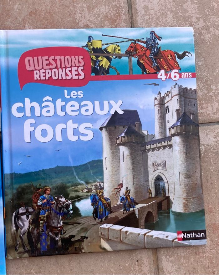 Lot de 9 livres enfants 4/8 ans - photo numéro 3