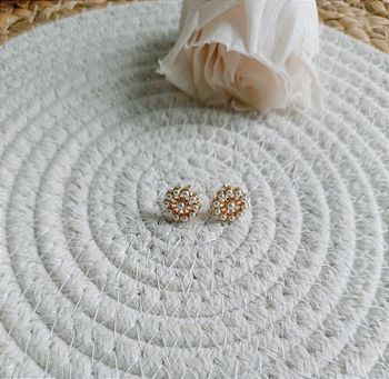 💐 Magnifiques boucles d'oreilles 💐